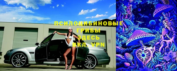 крисы Алексин