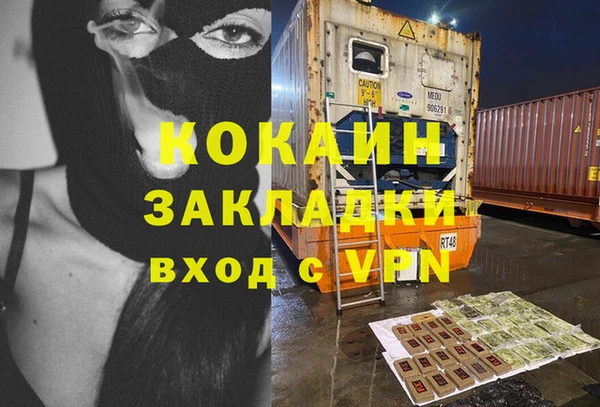 индика Вяземский